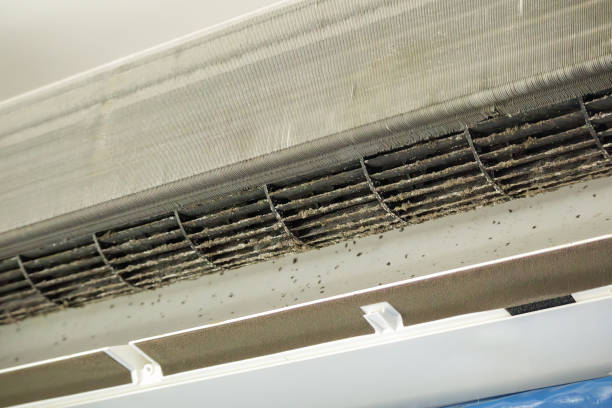 Best HVAC Duct Inspection Services  in Steelville, MO